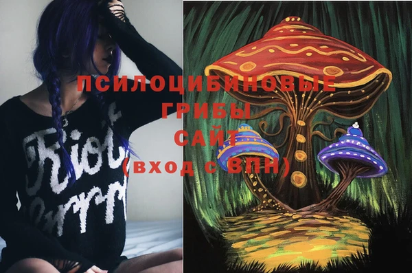 дурь Балахна
