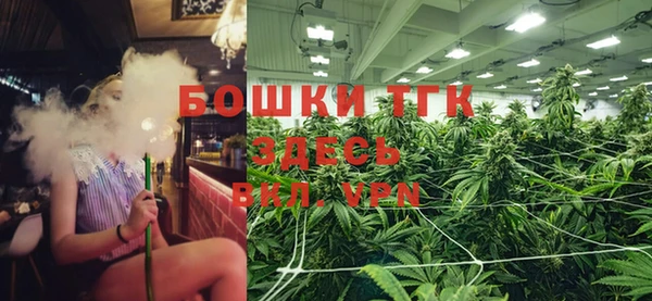прущий лед Белокуриха