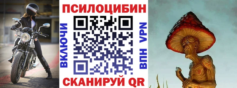 дарнет шоп  Беломорск  Псилоцибиновые грибы мухоморы 