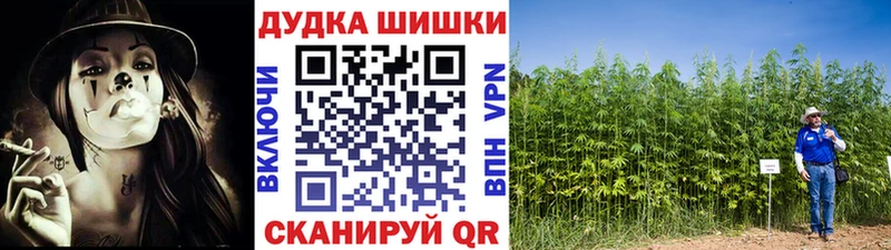 Конопля ГИДРОПОН Беломорск